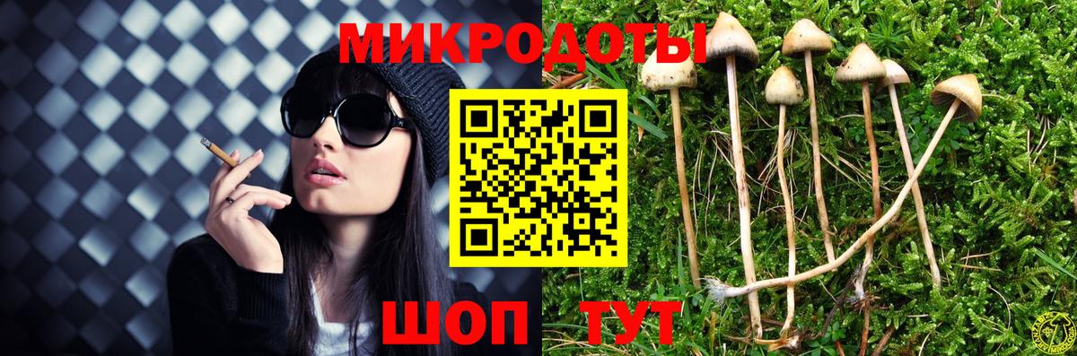 Новозыбков  Галлюциногенные грибы мицелий  Галлюциногенные грибы Cubensis  Вход с VPN 